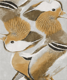 attitude 5911-pidgeons - handmade rug, persian (India), 40x40 3ply quality